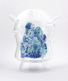 Mold 霉 2012